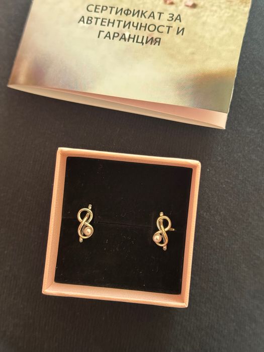 Сребърни обици Pandora