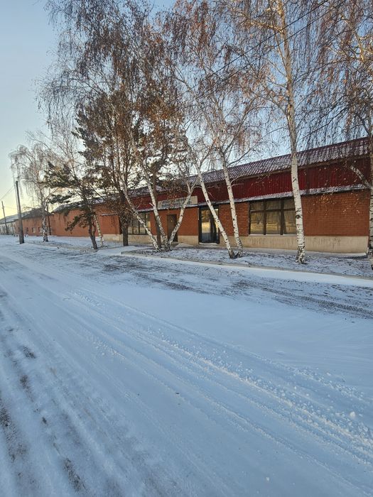 Сдаётся в аренду