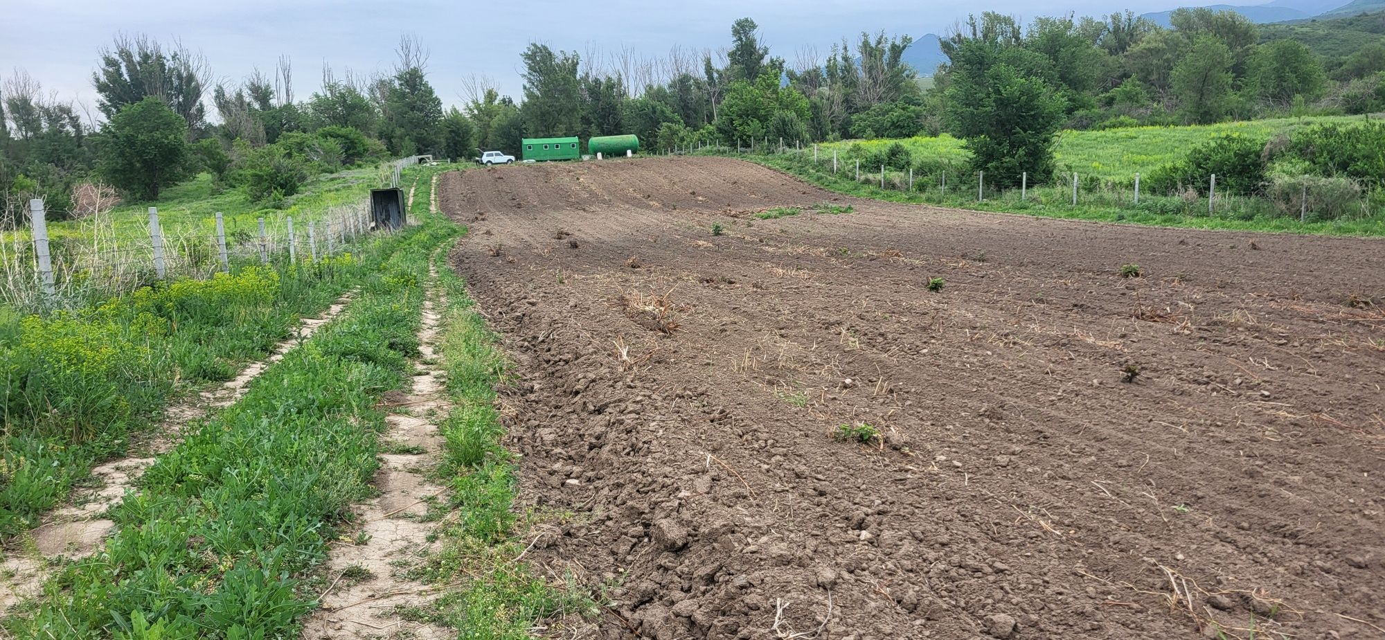 Земля 1 ГА, выкуплена