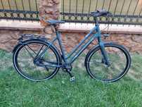 Bicicleta giant pe curea shimano nexus