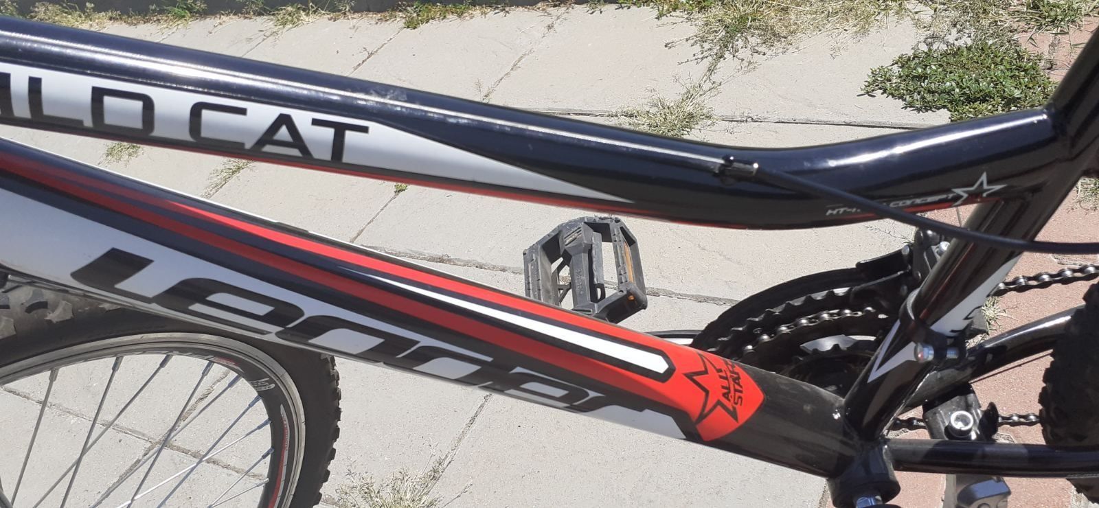 Велосипед Leader Wild Cat 24"