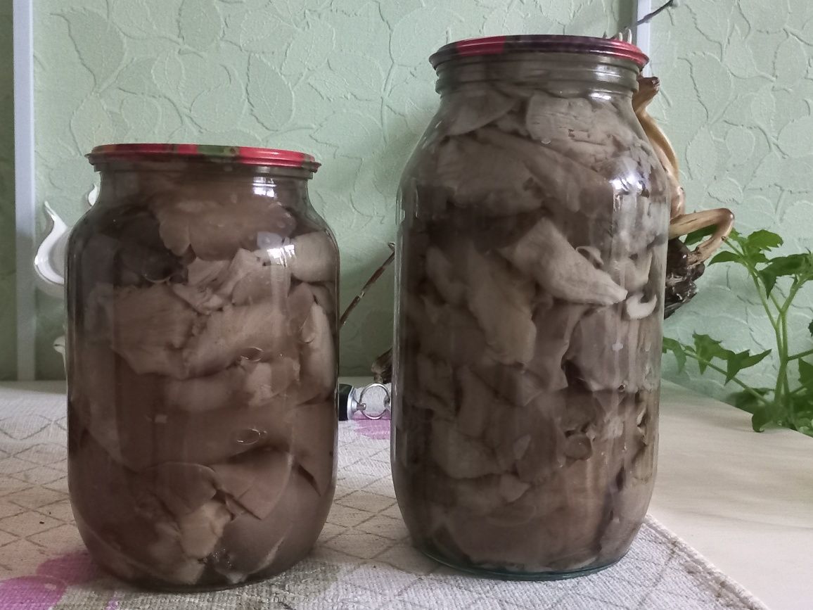 Грибы вешанка и Степные белые. Домашняя засолка