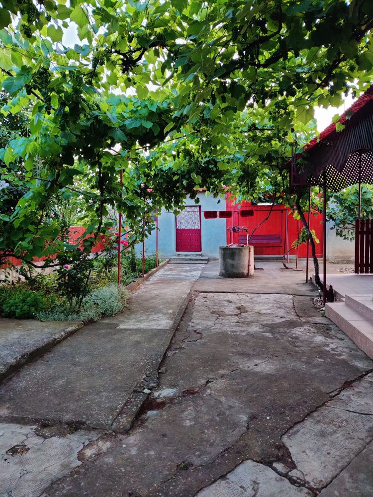 Vând casă Diosig direct proprietar