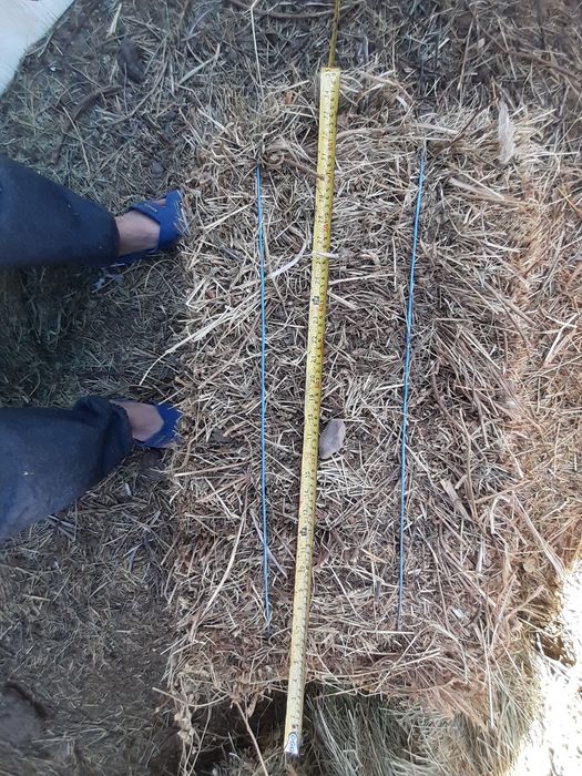 Продам сено разнотравия в Алматы