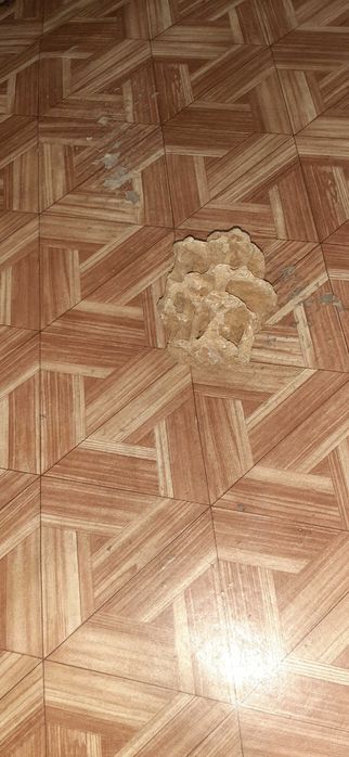 Уникальный историсеский камень