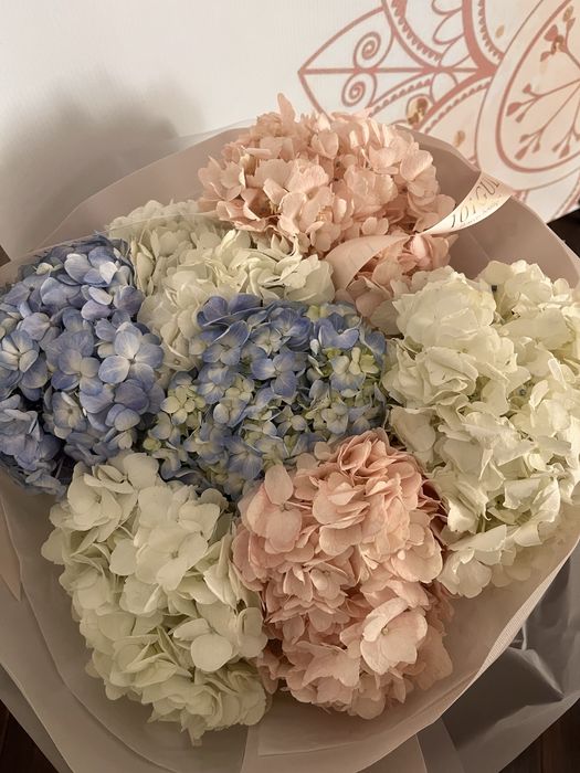 Цветы.букет  гортензия