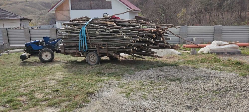 Vând motocultor zubru 12 cp