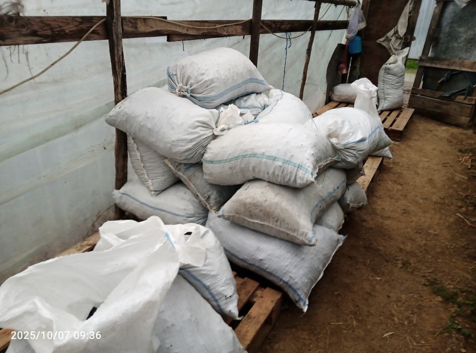 Șrot floarea soarelui (prima presa)