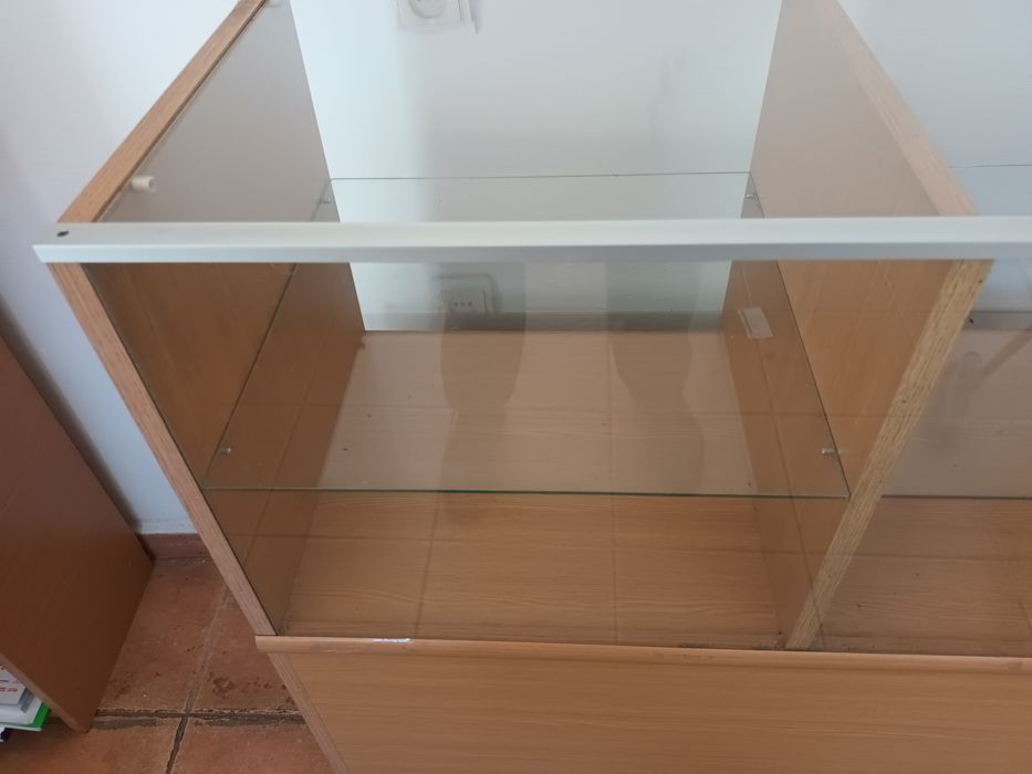 Vitrina expunere