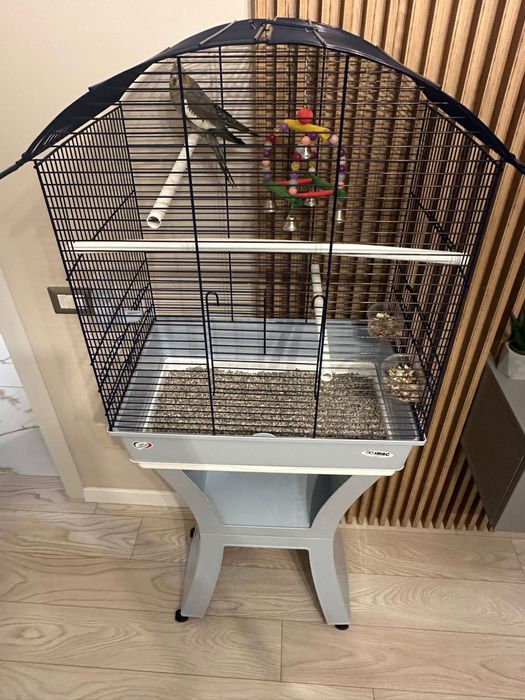 Vând cușcă mare+papagal Nimfa