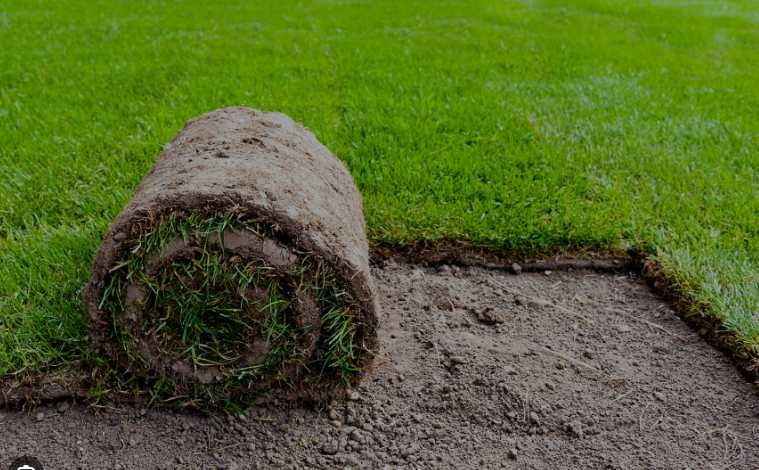 Gazon Rulou Sisteme de Irigati