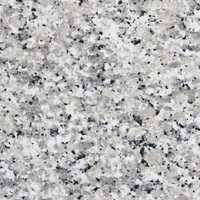 Granit Bianco Sardo 30,5 x 61 x 1 cm Mat