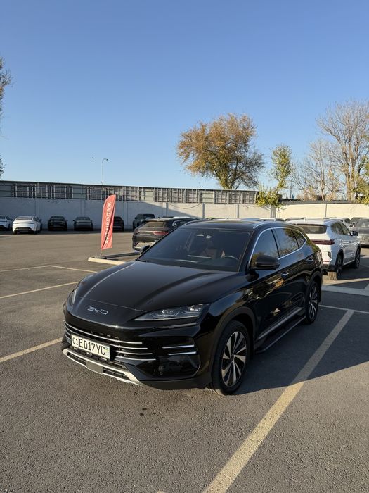 Byd champion oficial 2024 gibrid