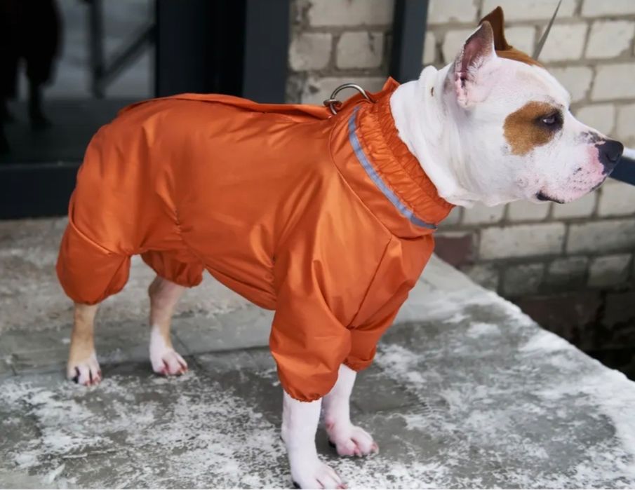 Дождевик для собаки абсолютно новый. Длина по спинке 50см.