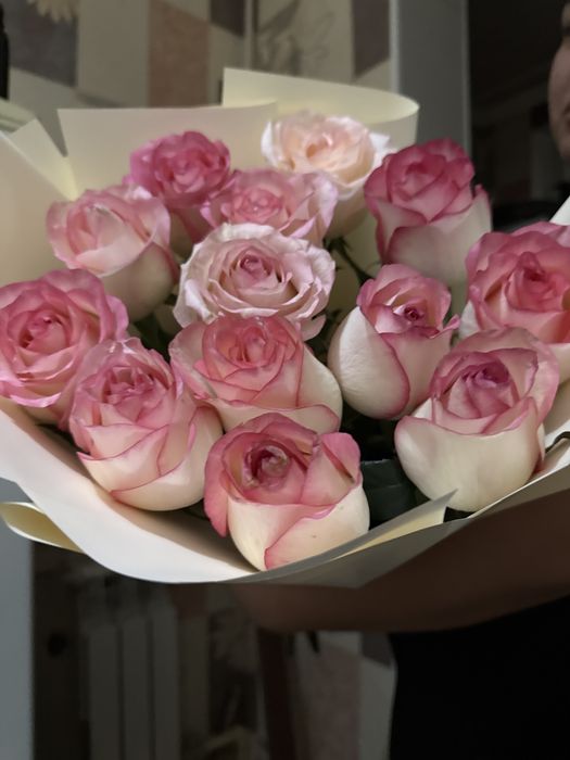 Свежий Роза Только получили