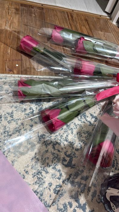 Свежый гүл бугиги