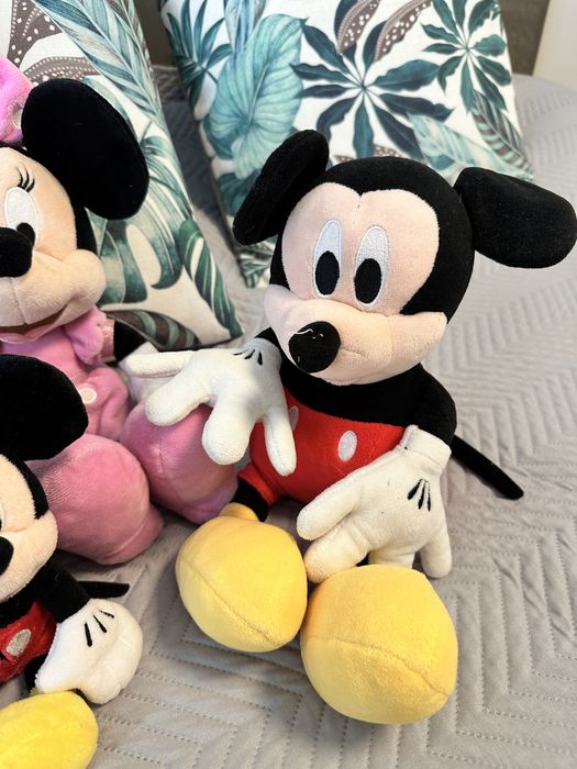 mikey и miny mouse цяло семейство от disneyland