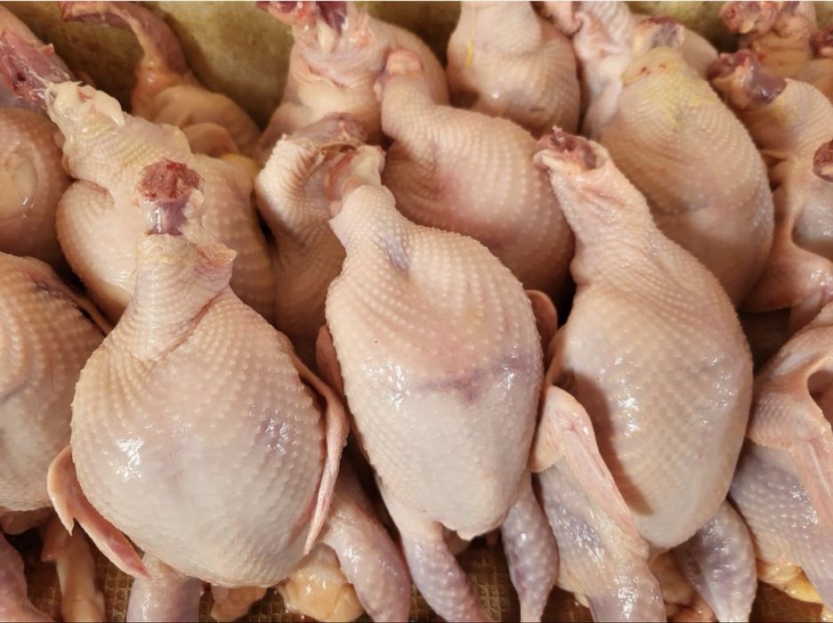 Продам мясо перепелки