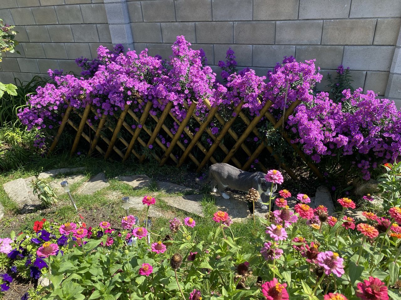 Продава се Къща в с. Калиманци, Област Варна - 168 кв.м за 1727 €/кв.м - Снимка #5
