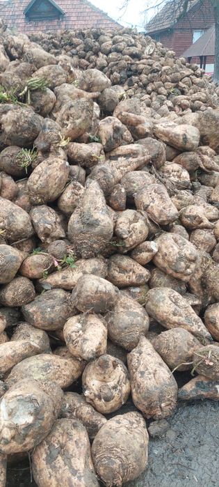 Sfecla pentru animale