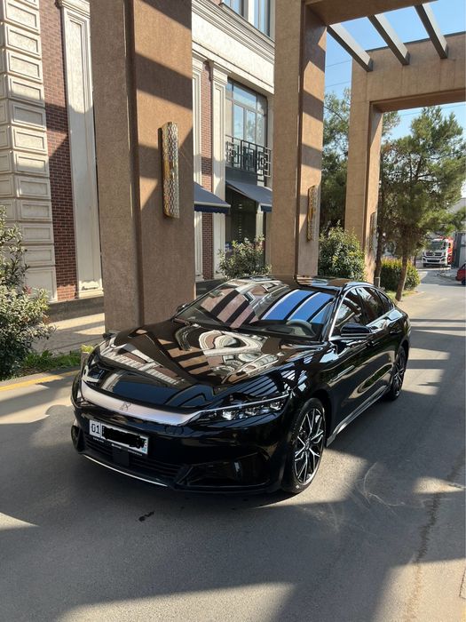 Byd han 2024 yil 605 tali eng fulli