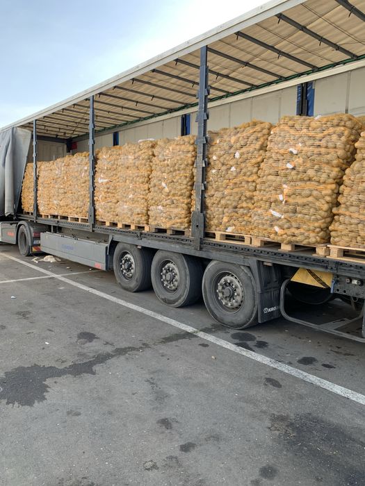 Vand cartofi consum alb rosu