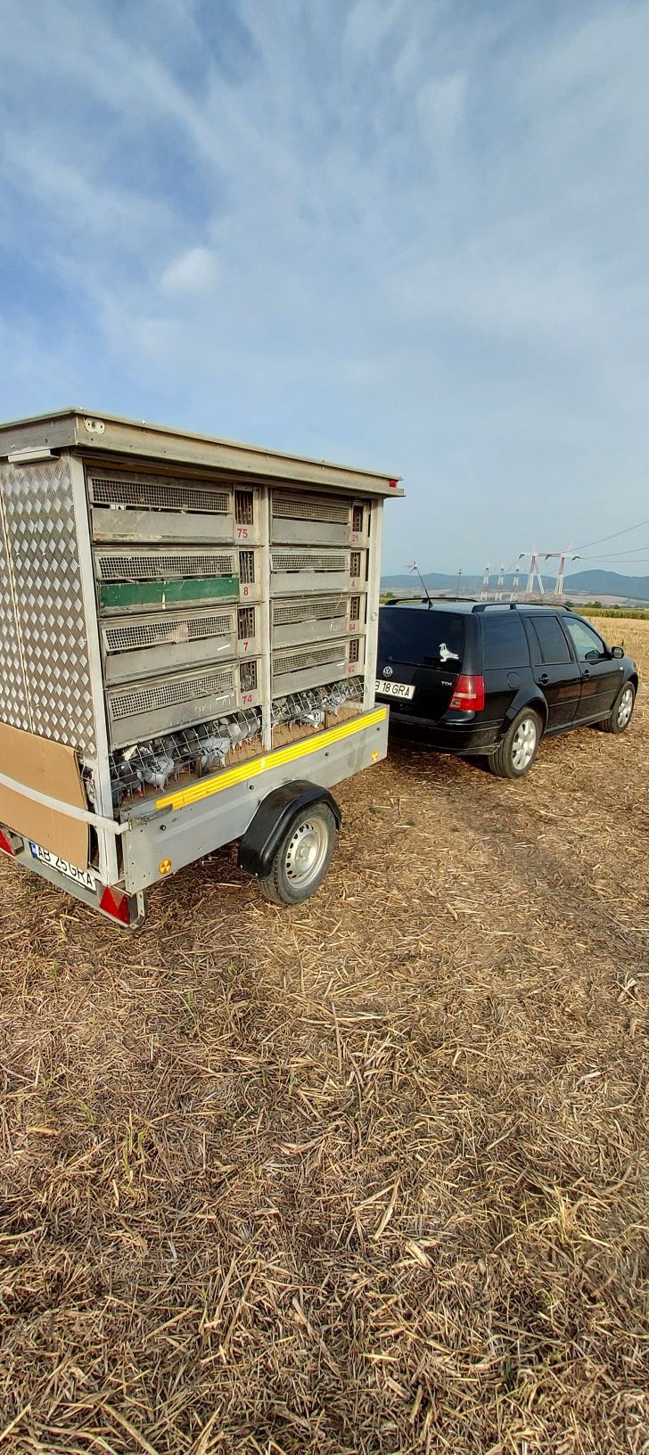 Vând remorca+container transport porumbei