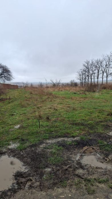 Vand loc de casa,in Vladeni,jud Iasi.