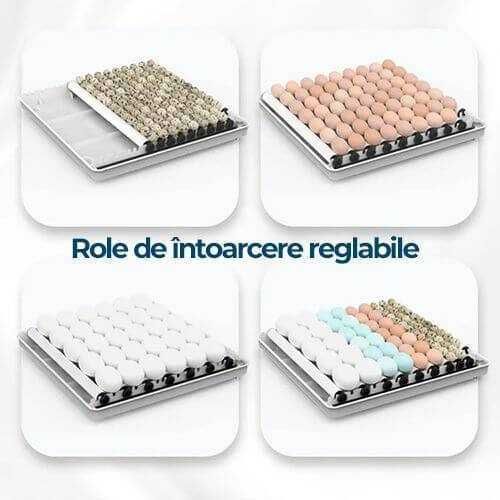 Incubator Clocitoare 130oua Gaina Gasca Rata Automat Livrat GRATUIT CJ