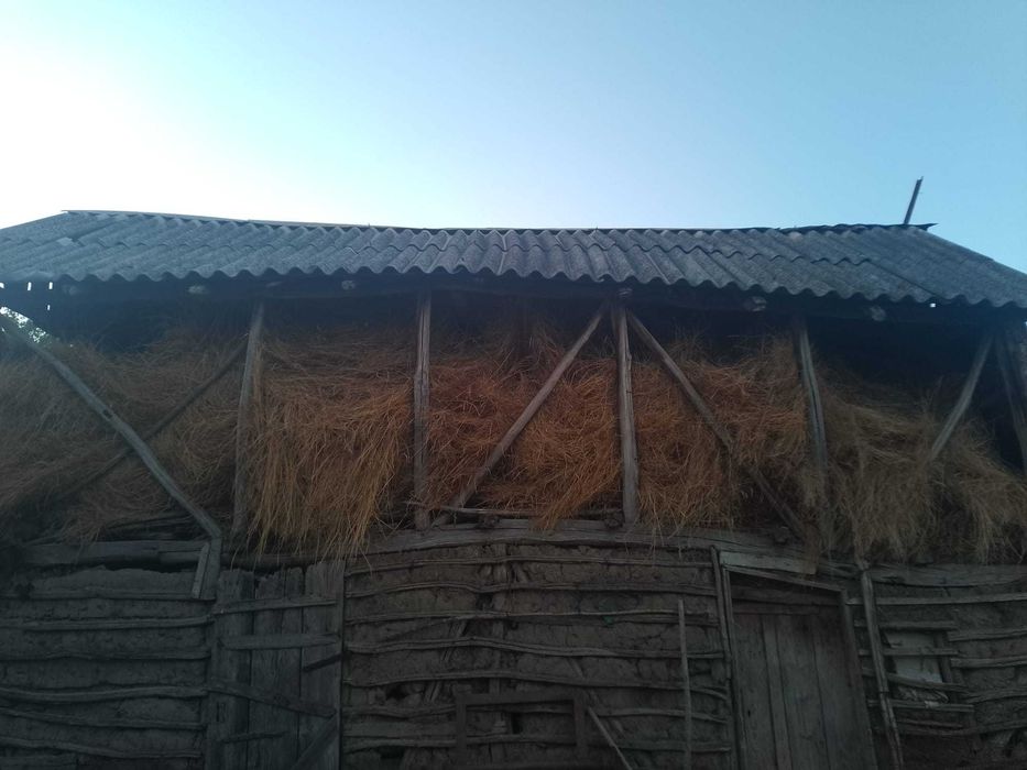 Vând fan pentru animale