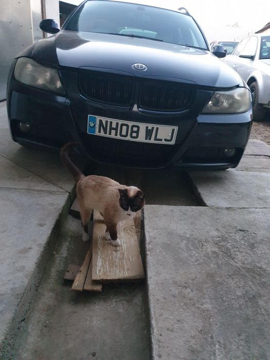 Piese  bmw 320d e91  M pachet