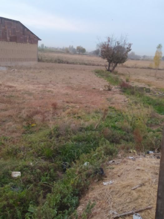 4,5 soʻtik er sotiladi