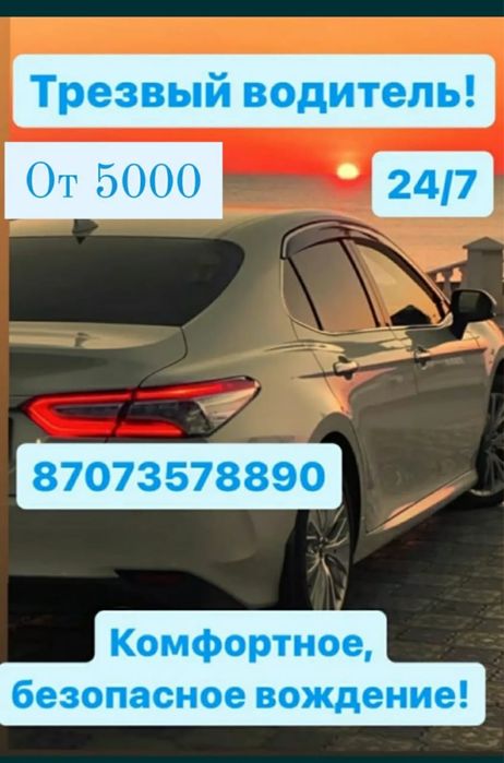 Трезвый водитель