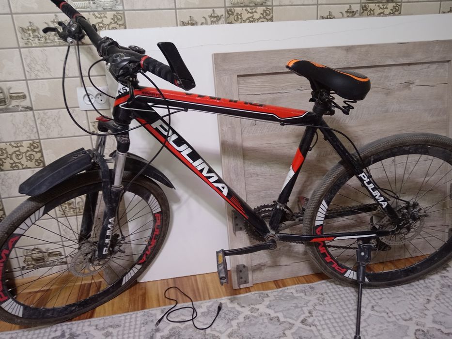 Pulima velik sotiladi