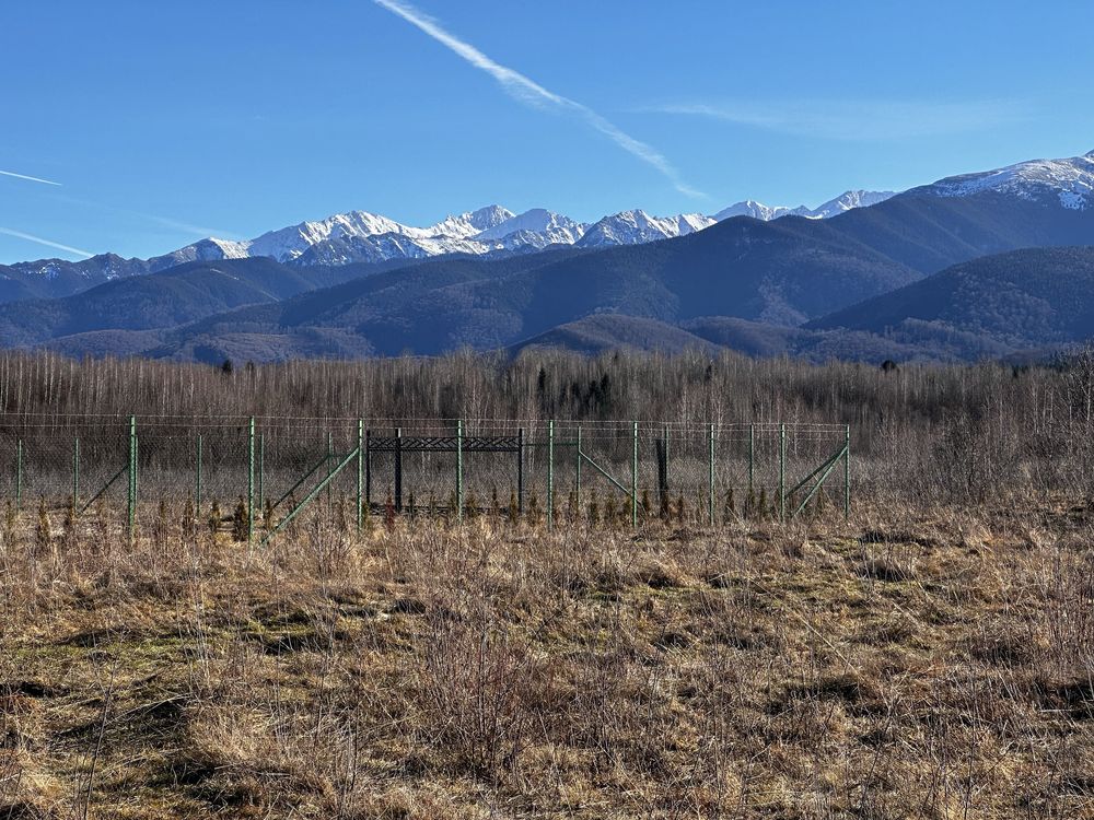 Teren intravilan Valea Avrigului  860 mp