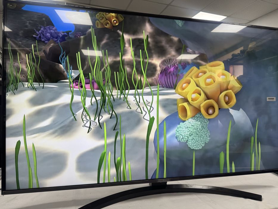 В продаже телевизор с голосовым управлением  50 диагональ,  Пульт мышк