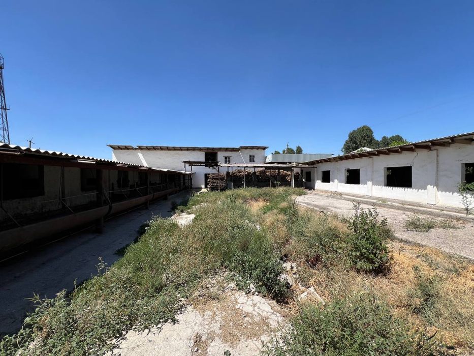 Продается дом (ферма) 12 соток