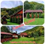 Cabana Floris de inchiriat
