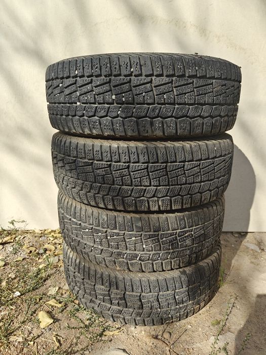 Зимний виатти р15