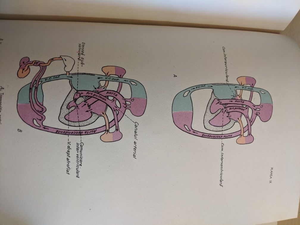 Chirurgie - 3 volume