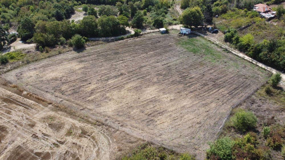 Дава се под наем Парцел в с. Кичево, Област Варна - 6000 кв.м за 204 € - Снимка #4