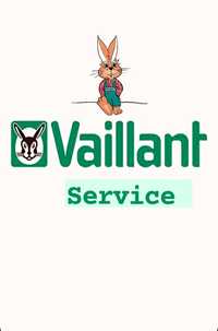 Vaillant service