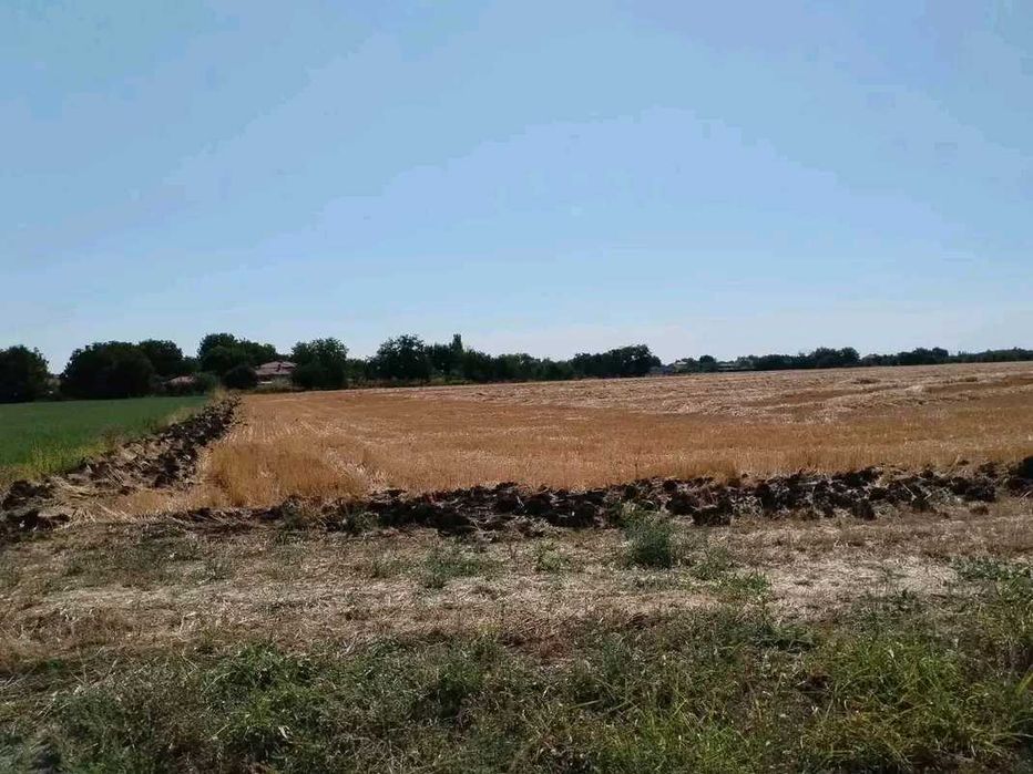 Продавам Земеделска земя, с. Могила