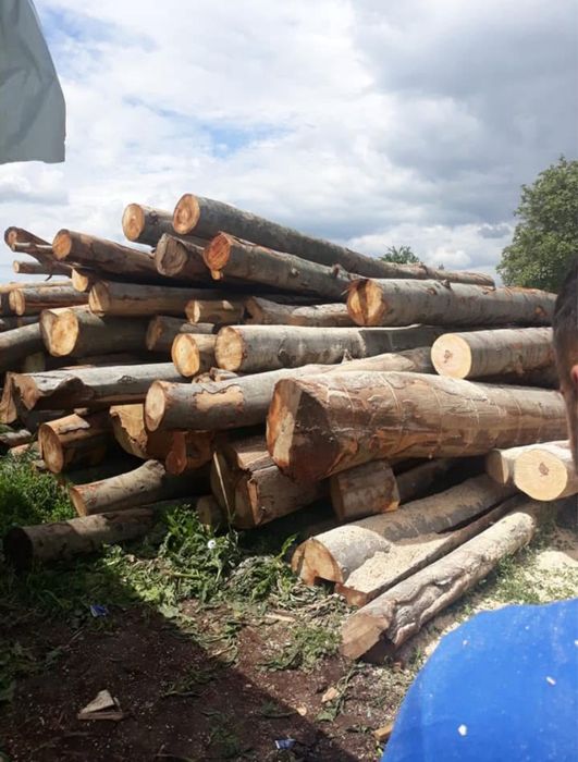 Lemne de foc taiate si crapate!