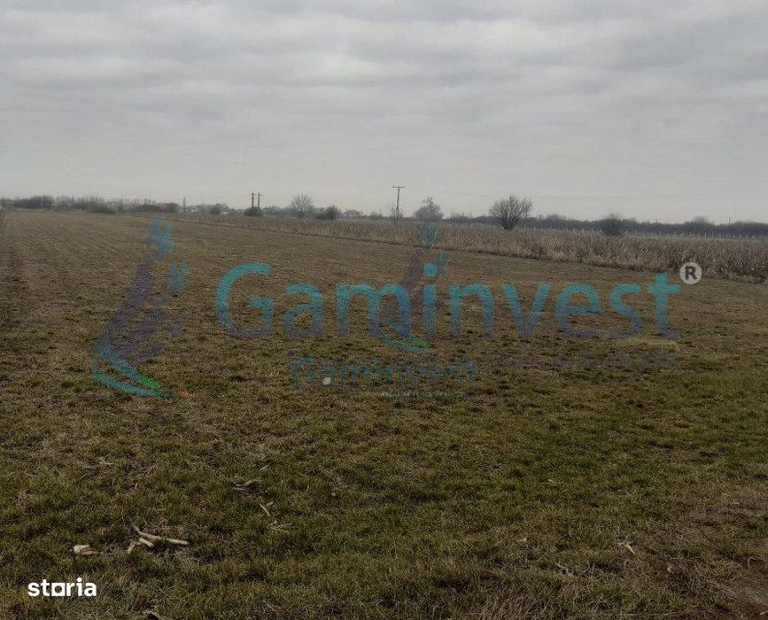 Gaminvest Teren industrial, Puz aprobat, Parcul Industrial Bors, V3892