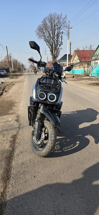 Аренда мопедов в Алматы от 6500₸/сутки — Kaz Dream Scooters