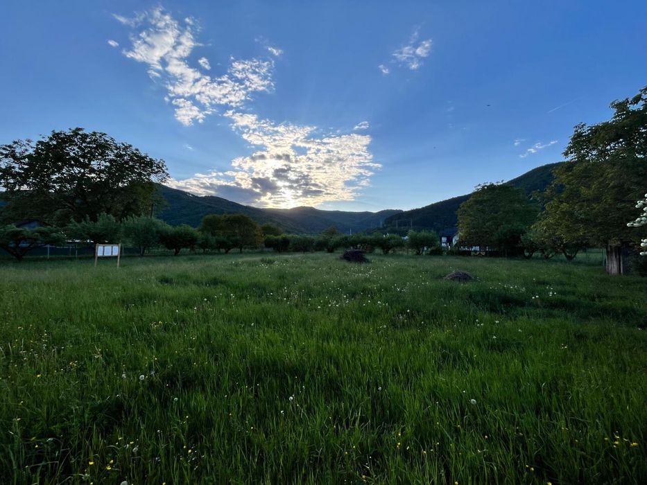 Teren de vanzare sat Stejaru, comuna Pangarati, Neamt