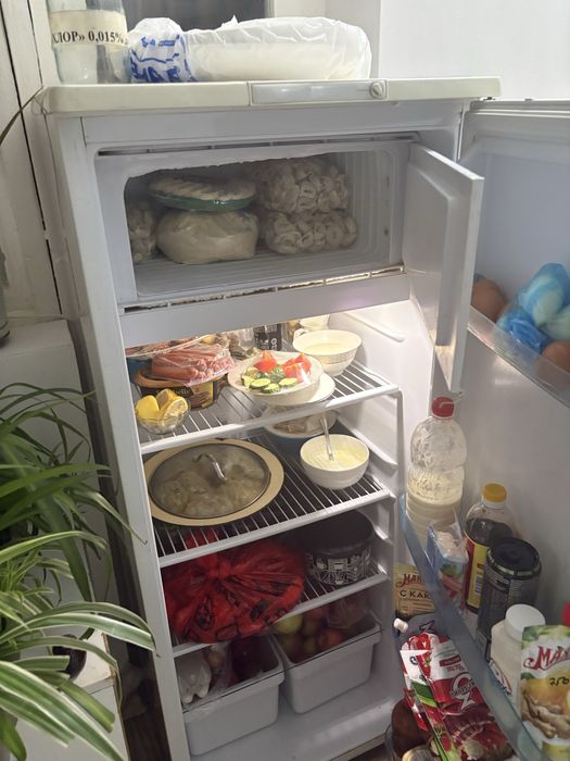 Холодильник Бирюса 10