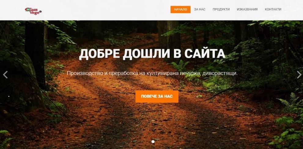 Изработка на уеб сайт и маркетинг от Kirov Invest Group