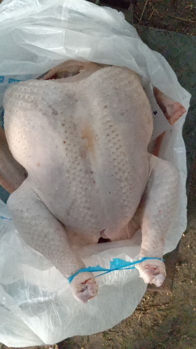 В продаже мясо Индейки.